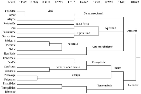 Dimensiones culturales del concepto de salud mental de hombres, Guadalajara, M&eacute;xico, 2013. El nivel indica el grado de asociaci&oacute;n (similaridad) entre &iacute;tems dentro de un cluster. Por ejemplo, el nivel 0.6316 indica que el promedio de distancia entre los &iacute;tems dentro del cluster es de 0.6316.