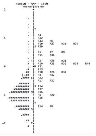 Mapa de personas versus &iacute;tems para la PDM 2010