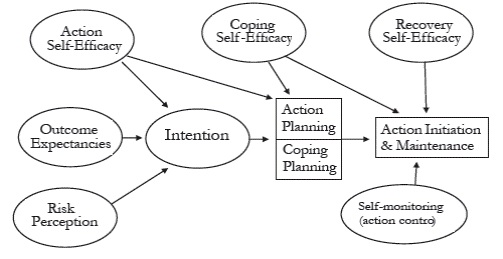 Health action process approach (Schwarzer, 1992, 2008).