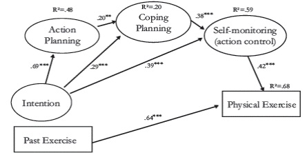 Physical Exercise in Costa Rican Students (Reyes Fernandez et al., 2015). Standardized solution **p< .01; ***p < .001