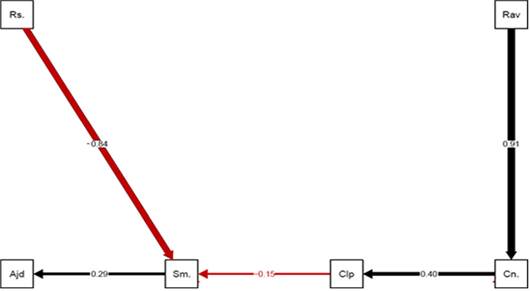 β coefficients between the paths suggested by the DAG