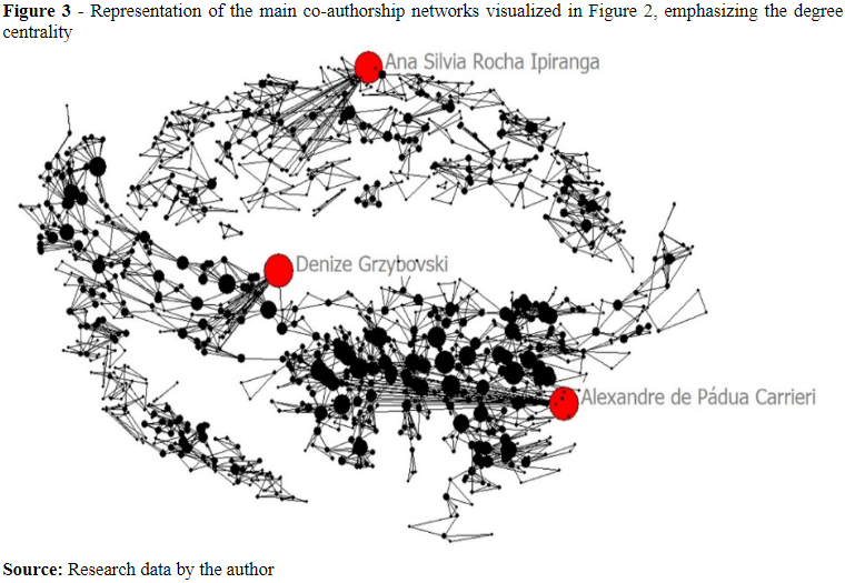 Figure 3 - Representation of the main co-authorship networks visualized in Figure 2, emphasizing the degree centrality