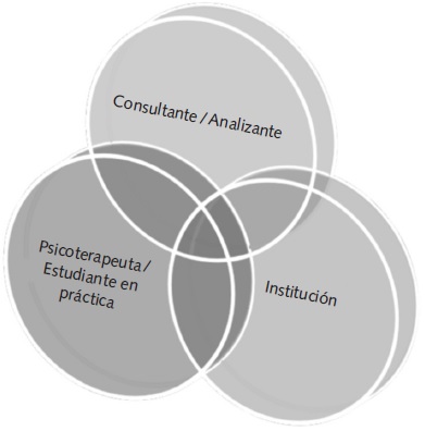 Factores que complejizan los procesos psicoterapéuticos en
las prácticas clínicas en las instituciones. 

 