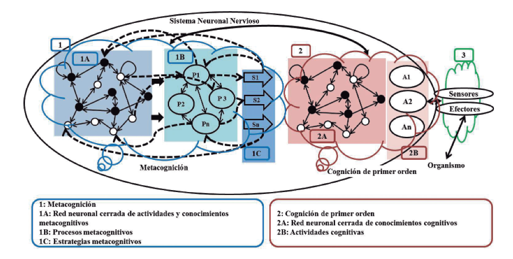 Vista conceptual de la metacognición de acuerdo con el modelo CMMA