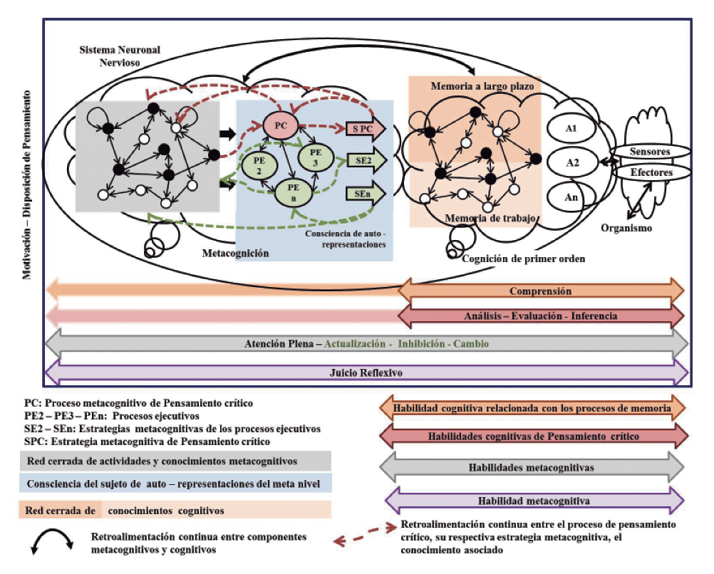 Representación gráfica de la interacción conceptual propuesta para la metacognición y el pensamiento crítico