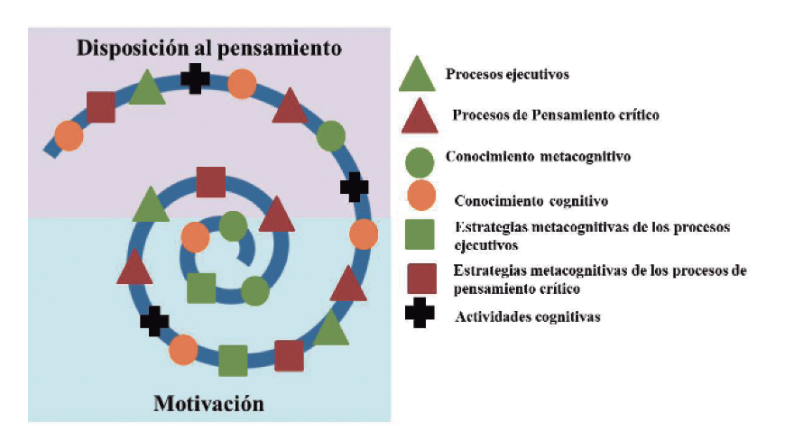 Evolución en forma de espiral de la metacognición