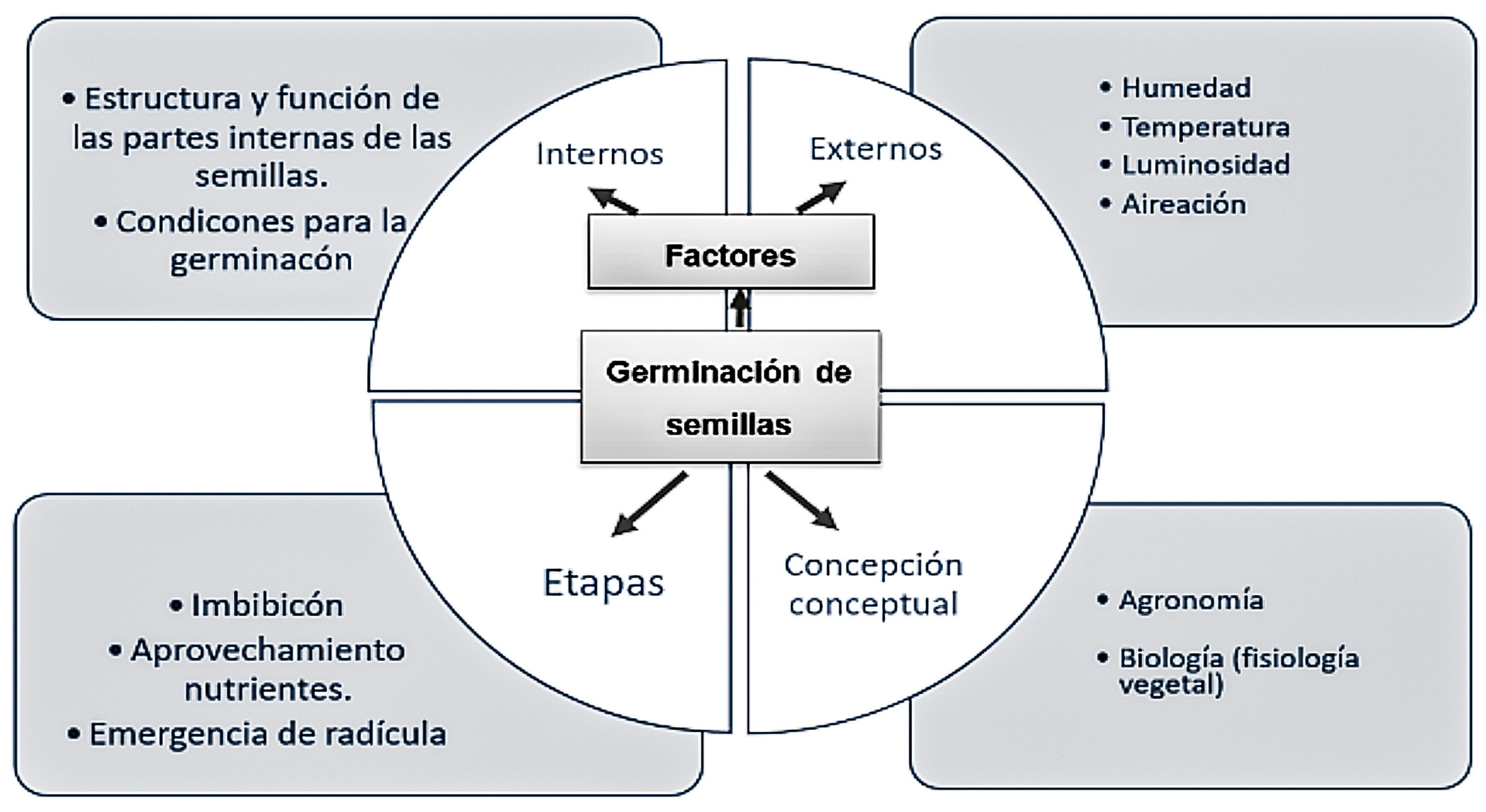 Representaci�n gr�fica del modelo sobre el concepto germinaci�n de semillas (Ruiz, Tamayo y M�rquez, 2015; Zapata y Ruiz, 2016)