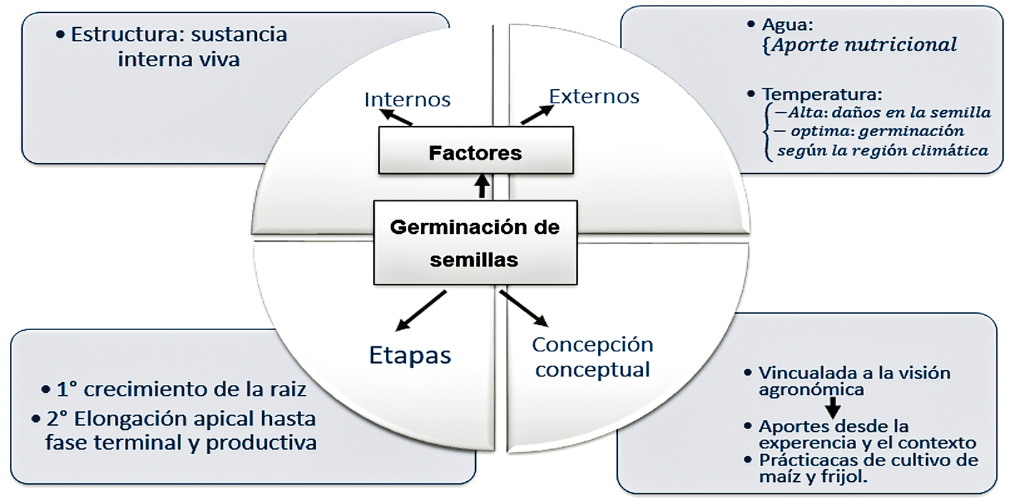 Representaci�n del modelo inicial de Luna sobre el concepto de germinaci�n