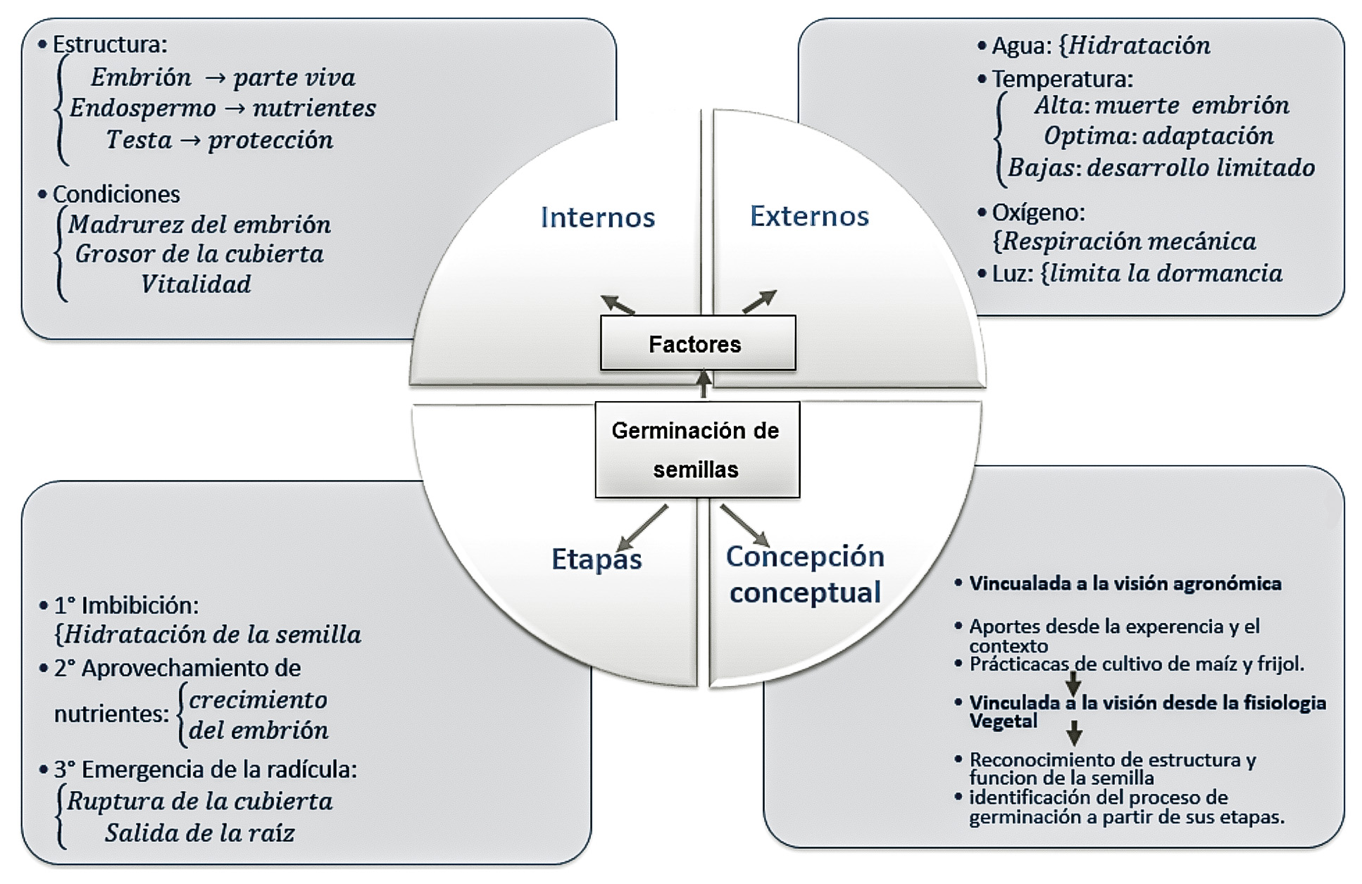 Representaci�n del modelo final de Luna sobre germinaci�n