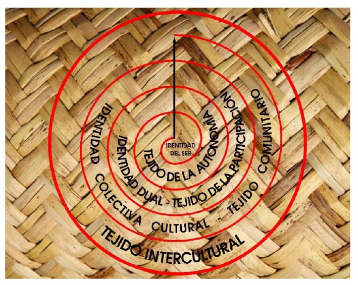 Tejidos del Modelo Pedag�gico