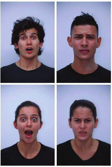 Ejemplos de algunas de las expresiones faciales realizadas por los modelos