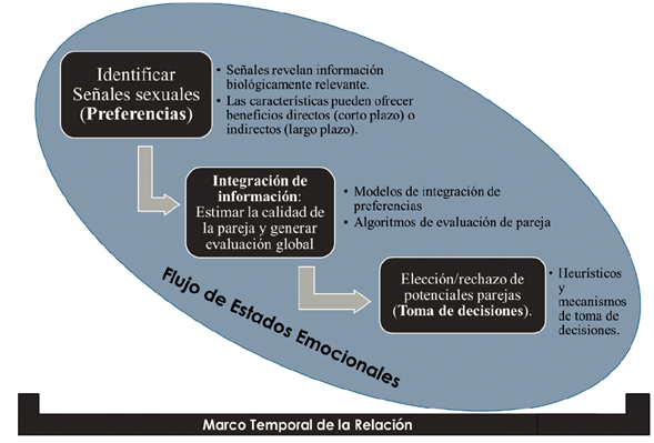 Modelo de procesamiento cognitivo de las preferencias de pareja.
