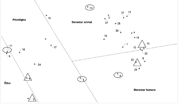 Representación de las correlaciones entre ítems del cuestionario a partir del programa SSA: dimensiones sobre las cuales se valoran las prácticas sociales