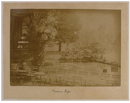 Vit&oacute;ria-r&eacute;gia no Pavilh&atilde;o do Brasil na Exposi&ccedil;&atilde;o Universal de Paris