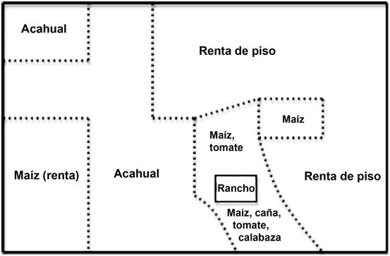 Distribución de áreas productivas en una parcela del ejido Piedra Labrada