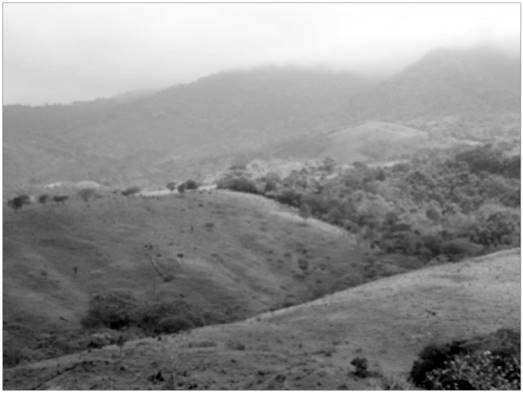 Ejido de Piedra Labrada