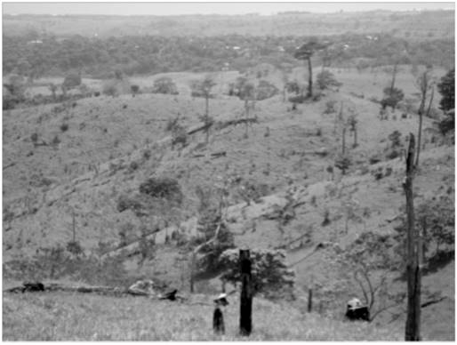 Ejido de Piedra Labrada