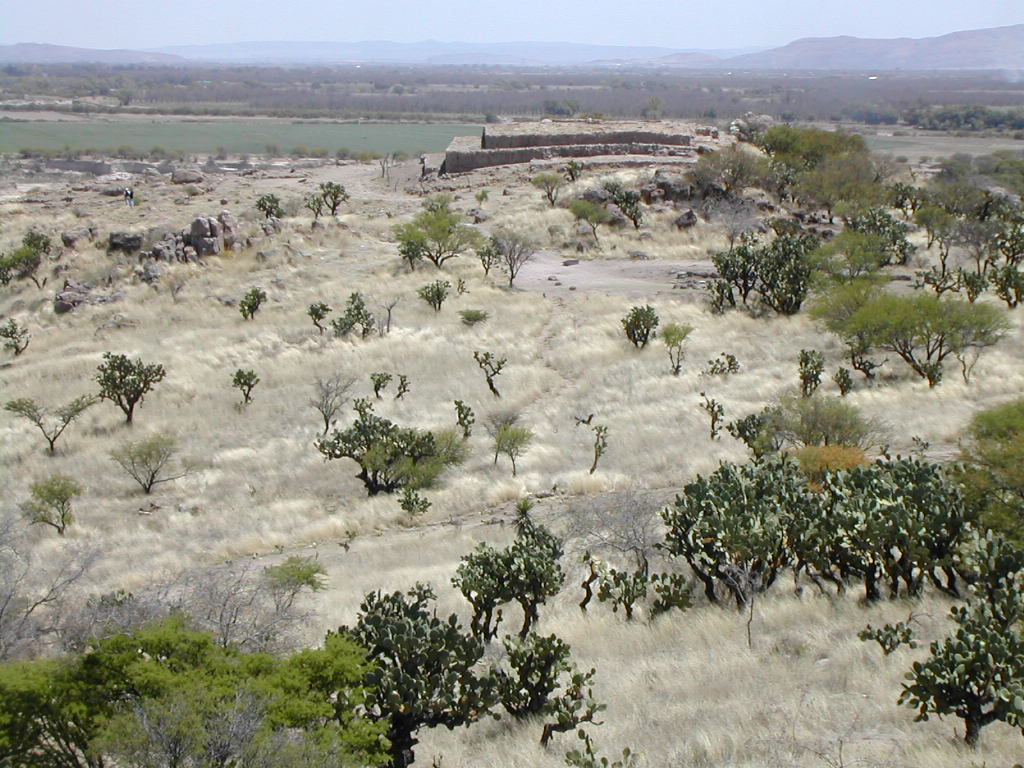 Vista general de la zona arqueol&oacute;gica de la Ferrer&iacute;a