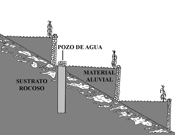 Figura 1. Perfil longitudinal de un grupo de terrazas de barranca