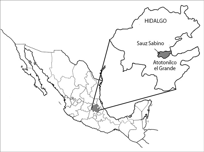 Mapa. Ubicaci&oacute;n del ejido del Sauz Sabino