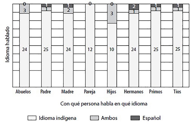 El uso de los idiomas en la familia