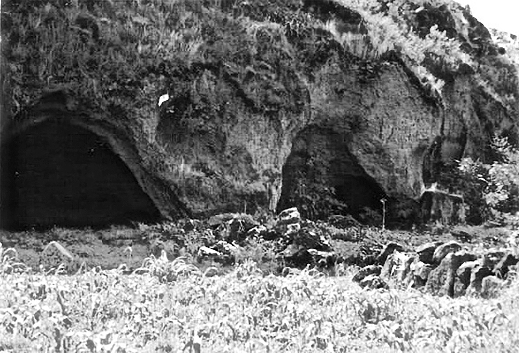 Cueva doble en la base de la isla, 2009 