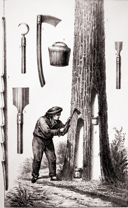 Aperos para la resinaci&oacute;n y la recolecci&oacute;n en Francia