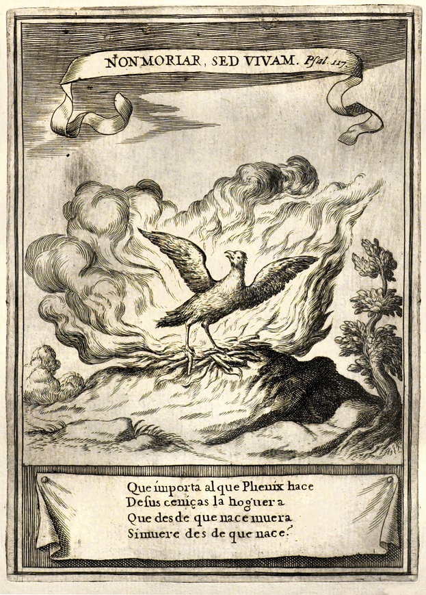 NON MORIAR SED VIVAM