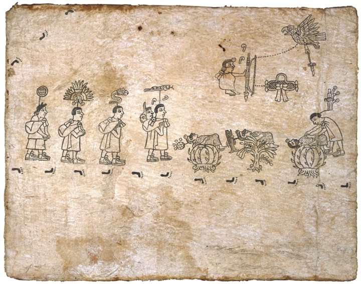 El mezquite y las biznagas.