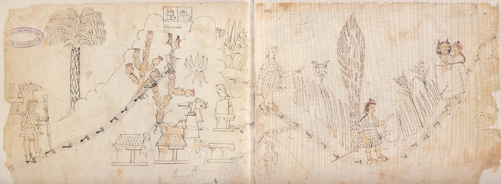 Tepemaxalco y Cuahuitl ihcacan