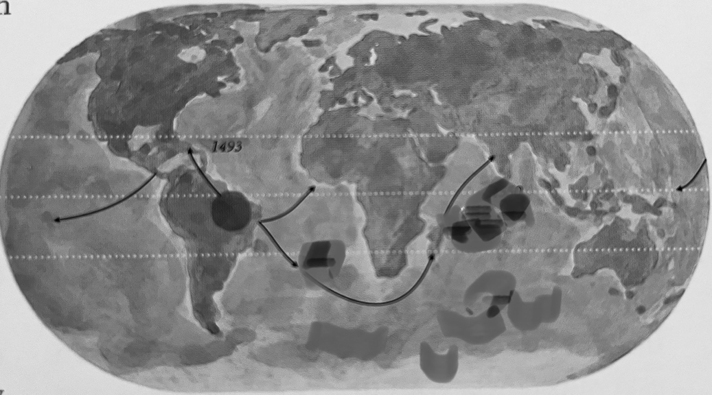 The transfer of Ananas comosus in the sixteenth century