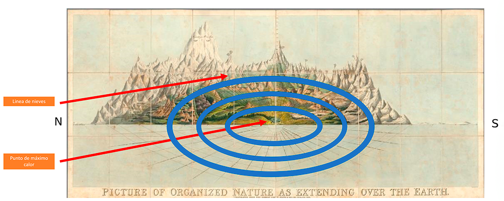 Organizaci�n de la naturaleza en c�rculos conc�ntricos a partir de las ideas de Ritgen y Wilbrand (1821)