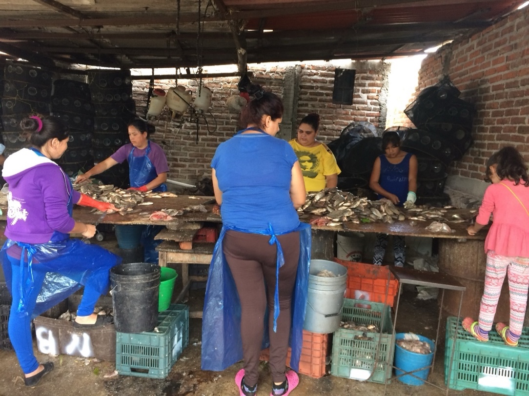 Mujeres en la fileteadora, Cojumatl�n de R�gules, Michoac�n