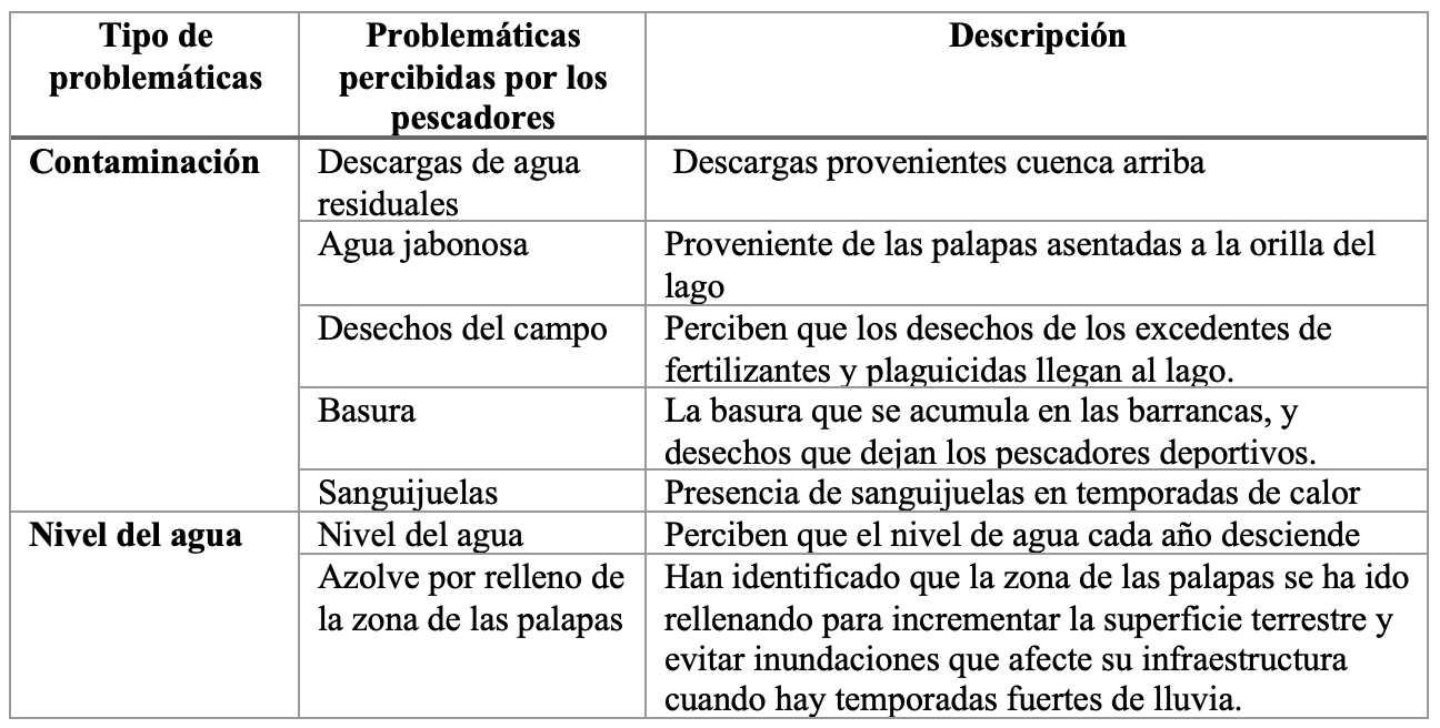 Percepciones de las principales problem�ticas ambientales asociadas al LC.