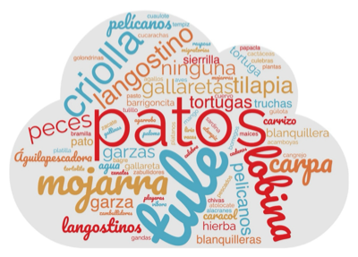 Representaci�n gr�fica de las especies que tuvieron mayor frecuencia de menci�n entre los entrevistados y las encuestadas.