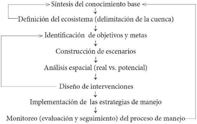 Pasos a seguir en el manejo integrado de cuencas hidrográficas