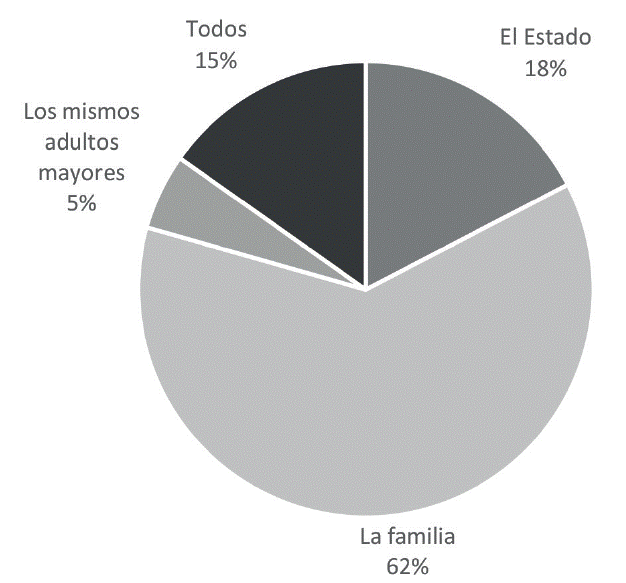 Actores responsables de la atenci&oacute;n a los adultos mayores.