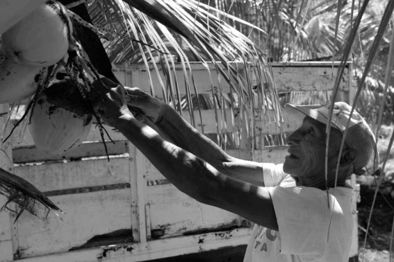 Trabajador de la ex hacienda henequenera Oxtapacab. M&eacute;rida, Yucat&aacute;n, M&eacute;xico, 4 de junio de 2015.