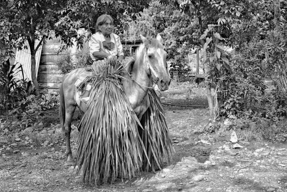Habitante de la Sierra de San Andr&eacute;s Tuxtla. Veracruz, M&eacute;xico, 2004.