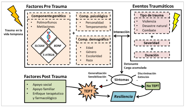 Factores que influyen en la vulnerabilidad o resiliencia del TEPT