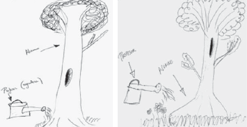 Dibujos de la regadera para el profesor y del árbol en crecimiento para el alumnado (pre y postest)