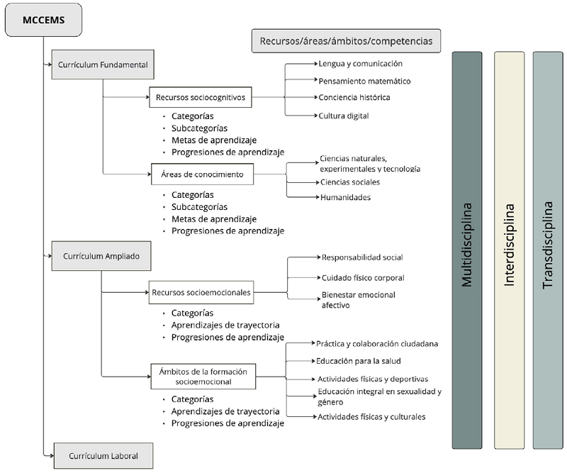 Propuesta de organización curricular para la EMS