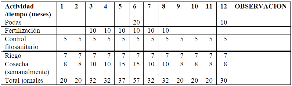 Cronograma
mano de obra / jornales/ actividad