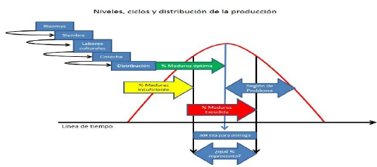 Diagrama de proceso de producci&oacute;n