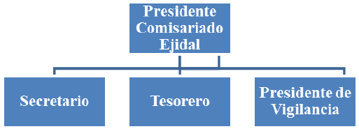 Organigrama del Ejido Raymundo Enr&iacute;quez