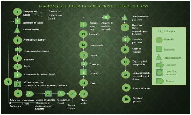 Diagrama de flujo de la producci&oacute;n de
flores ex&oacute;ticas