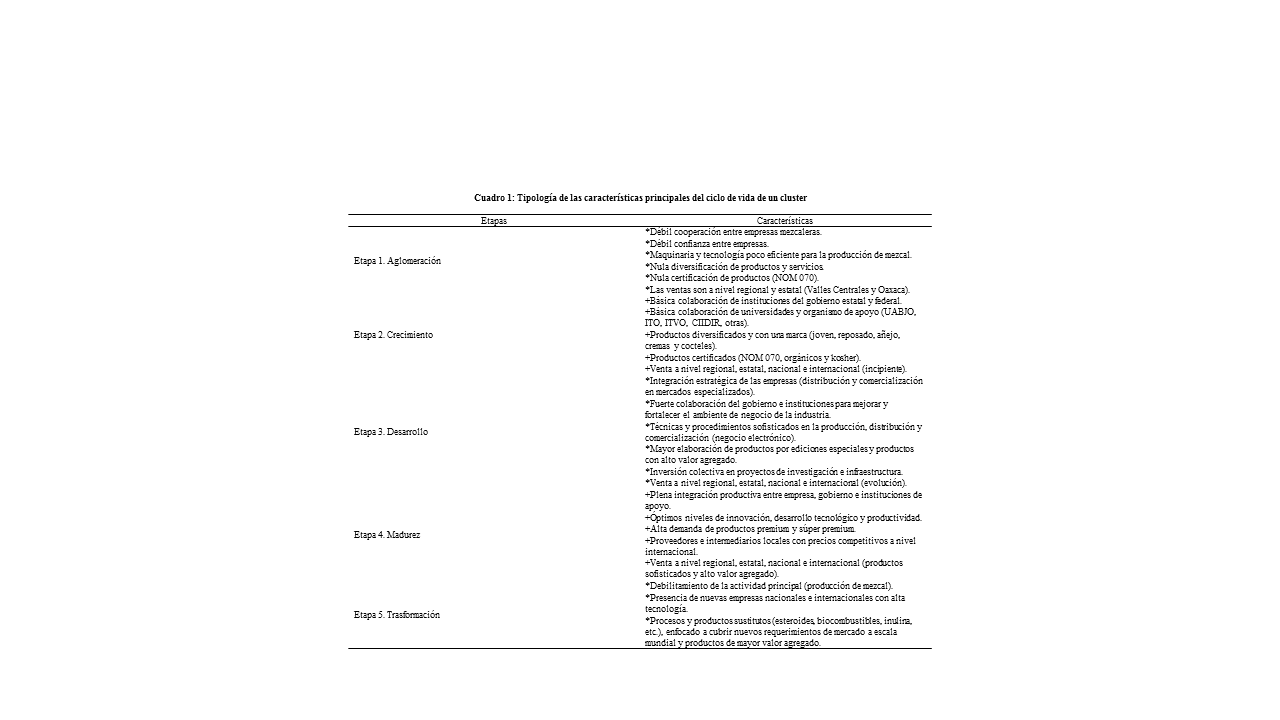 Tipología de las
características principales del ciclo de vida de un cluster