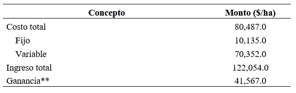 Costos, ingreso y ganancia, sin endeudamiento. Ca&ntilde;a de az&uacute;car
para fruta. Temascaltepec, Estado de M&eacute;xico.