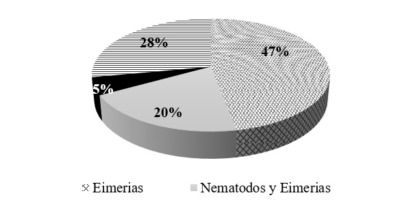 Porcentajes de la población parasitaria en los ovinos
estudiados