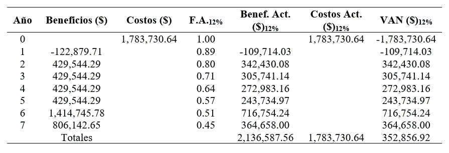 C&aacute;lculo desglosado del VAN (pesos).
